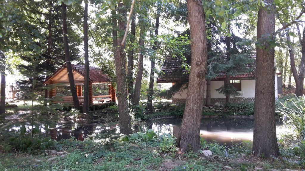Hotel Holiday Park Ranchoto Kirkovo  Exterior foto